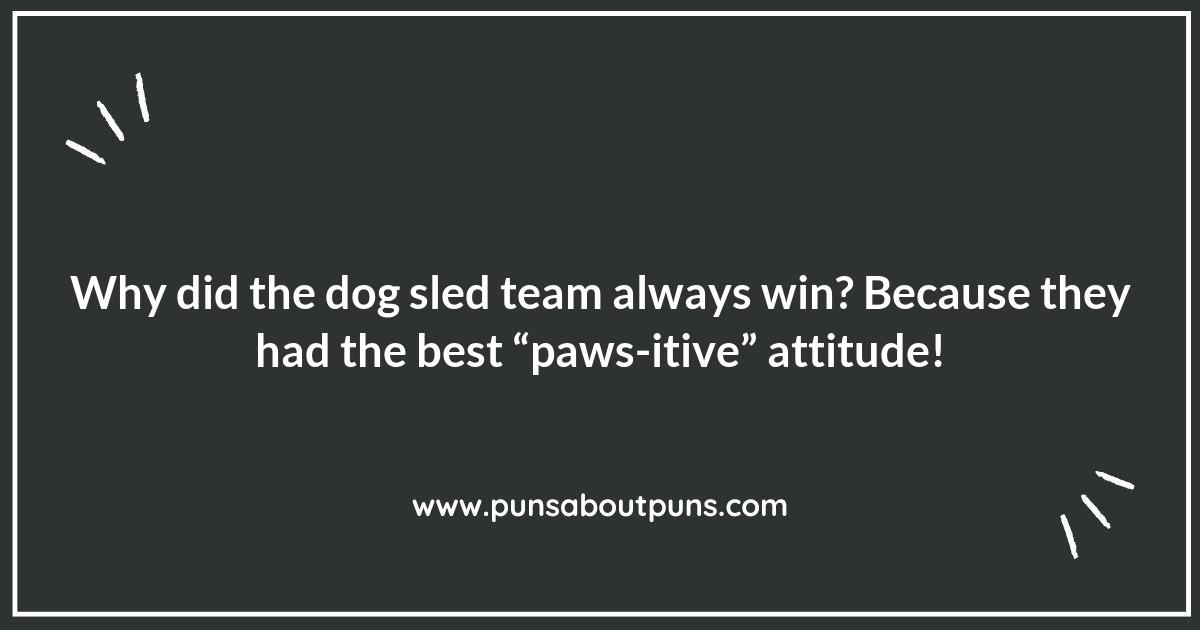 Dog Sledding Puns: A Tail of Humor and Fun