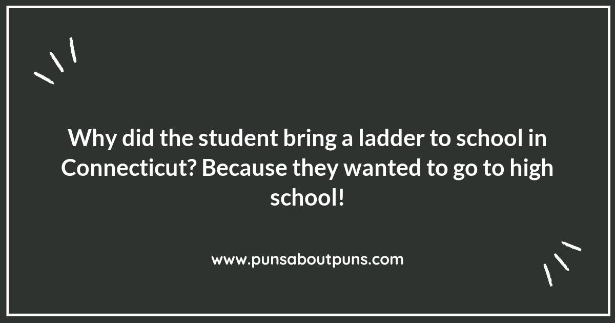 Education and Puns: Connecticut