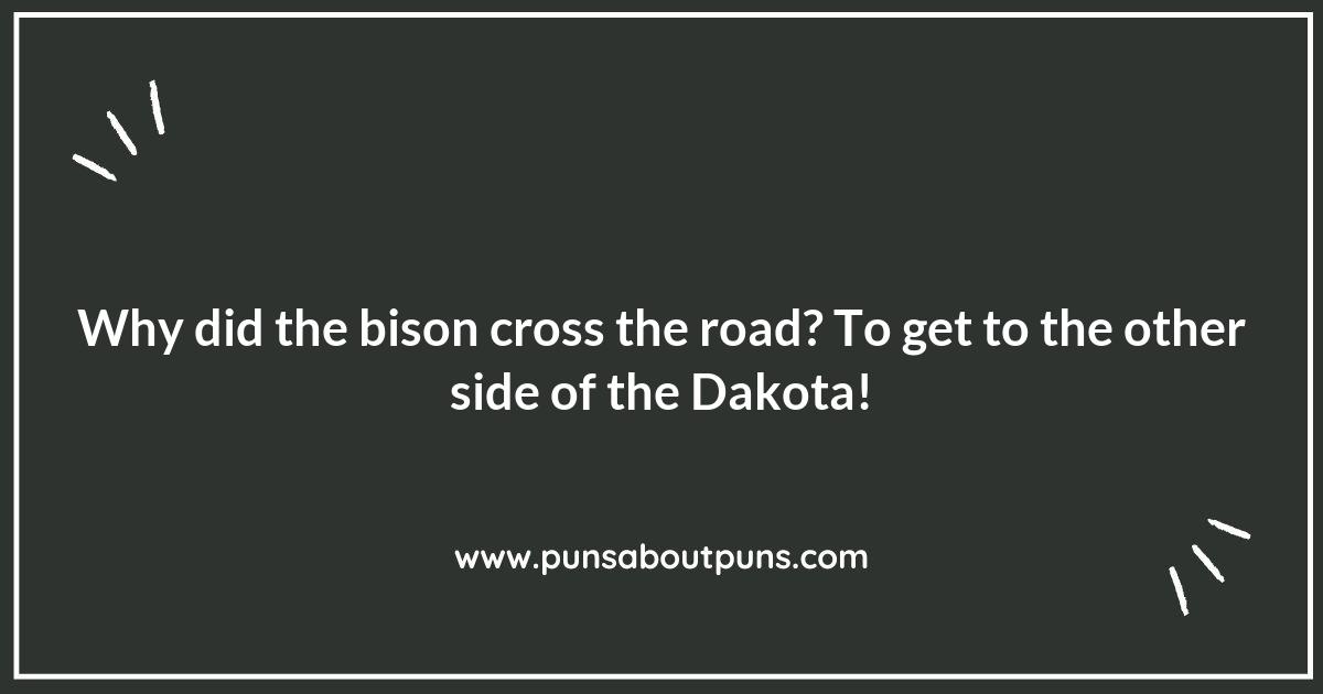 From Fargo to Fun: North Dakota Puns to Brighten Your Day