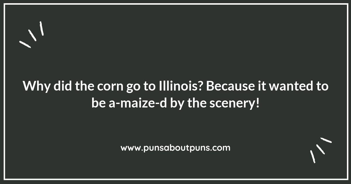 Illinois Puns That Will Make You Chuckle All the Way to Chi-town