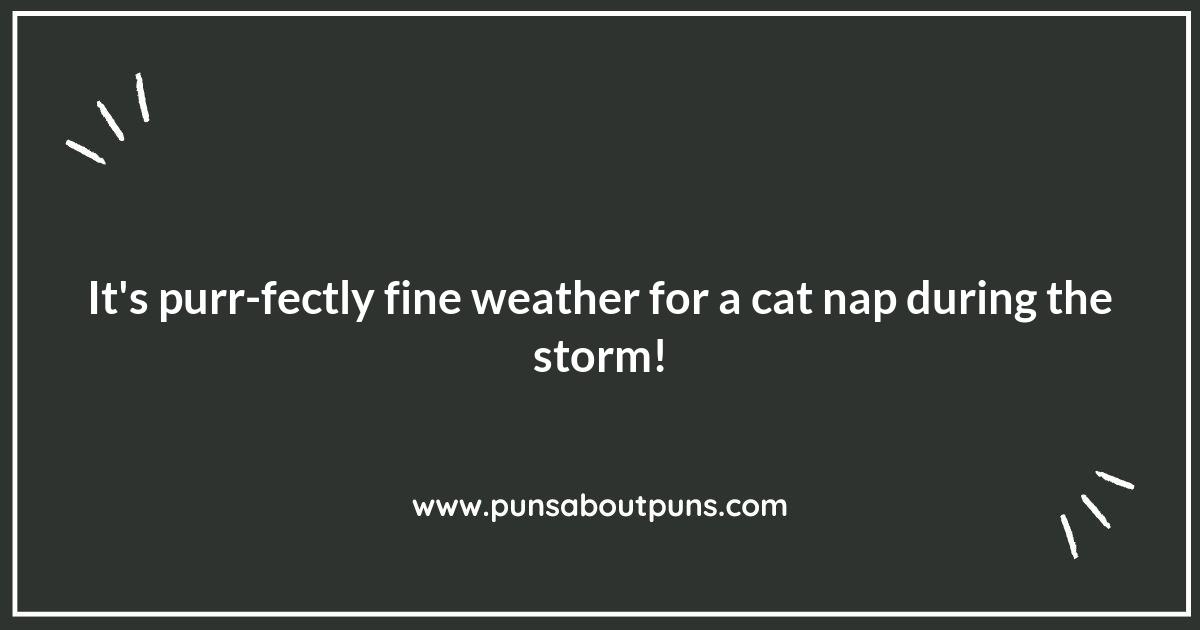 Raining Cats and Puns: Feline Good with Storm Humor