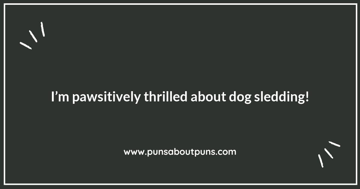 Snow Much Fun: Dog Sledding Puns That Will Make You Chuckle