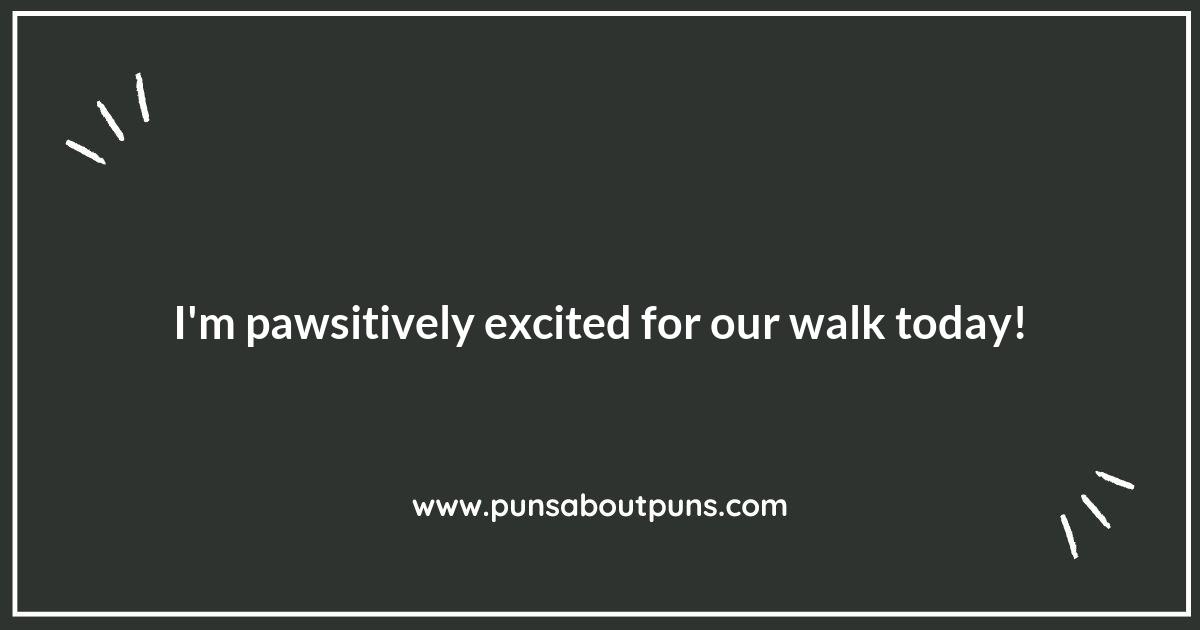 The Best Dog Walking Puns to Keep You Entertained