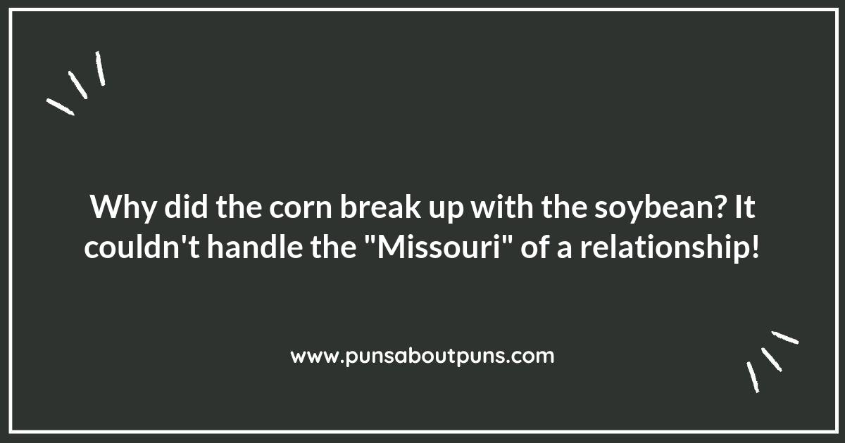 The Funniest Missouri Puns You