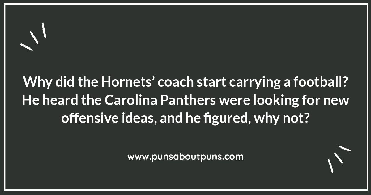 Charlotte Hornets Jokes: Kicking Off the Fun