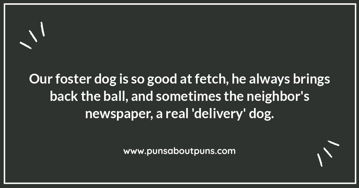 Pawsitively Funny: Foster Pet Puns
