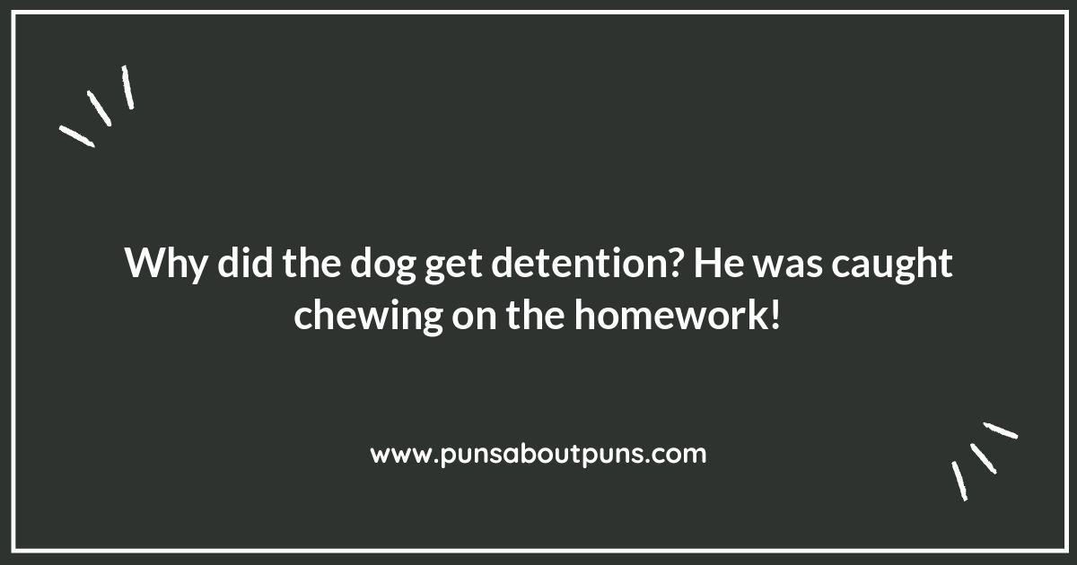 School Day Shenanigans: Cat and Dog Puns for the Classroom