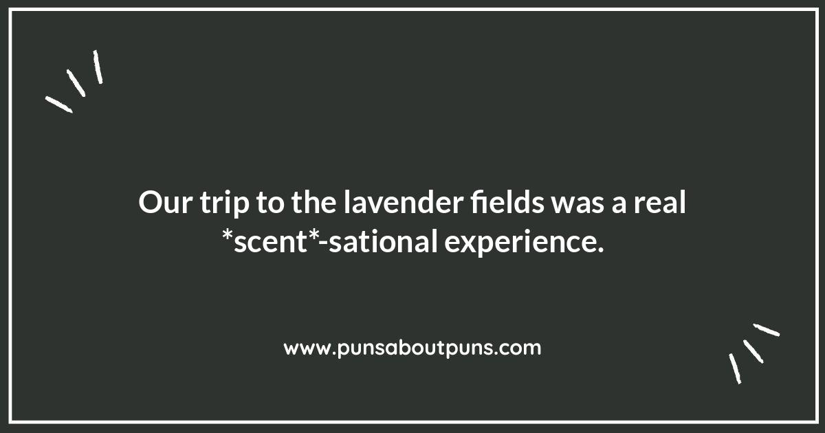 Vacation Vibes: Relaxing with Travel Destination Humor