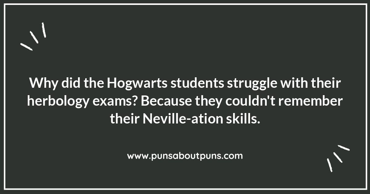 Accio Laughs: The Best Harry Potter Puns