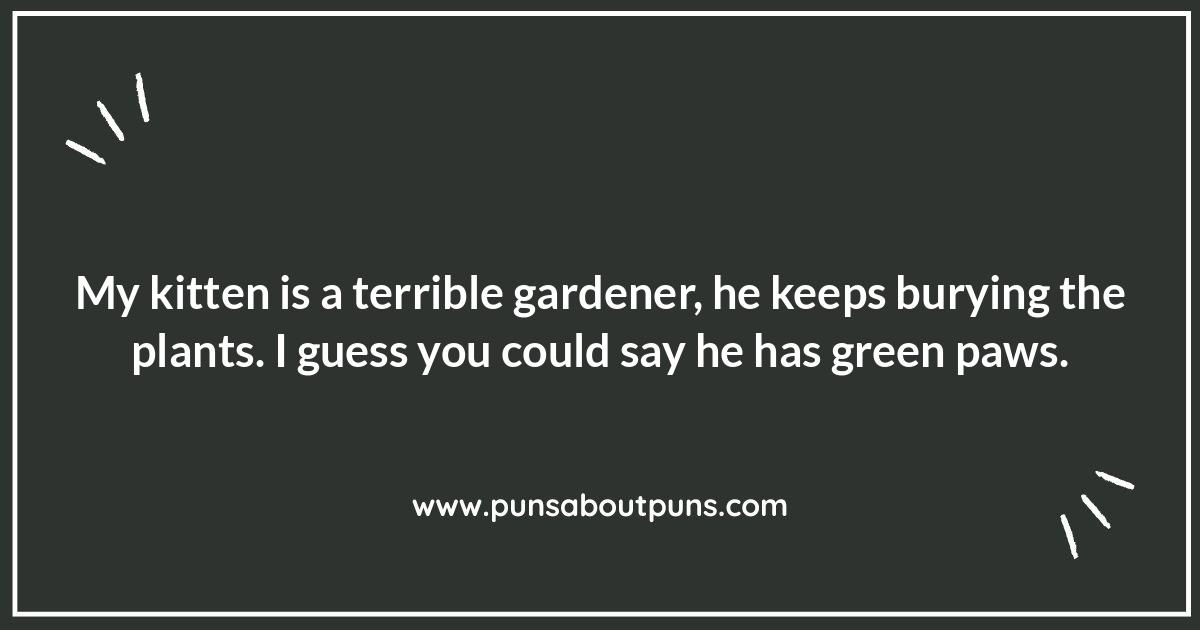 Kitten Jokes That Are Paw-sitively Hilarious: Guaranteed Laughs