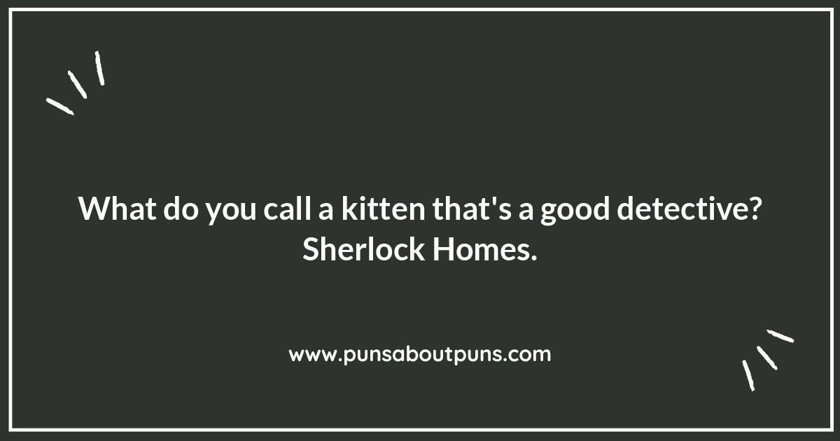 Kitten Jokes from Cat Lovers: By Cat People, For Cat People