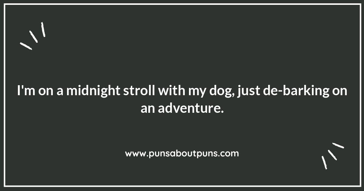 Late Night Puns: Comedy for the Night Owls