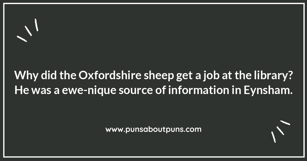 Oxfordshire Jokes: Laughing Your Way Through the Cotswolds