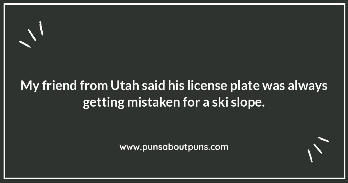 State by State: Regional License Plate Humor