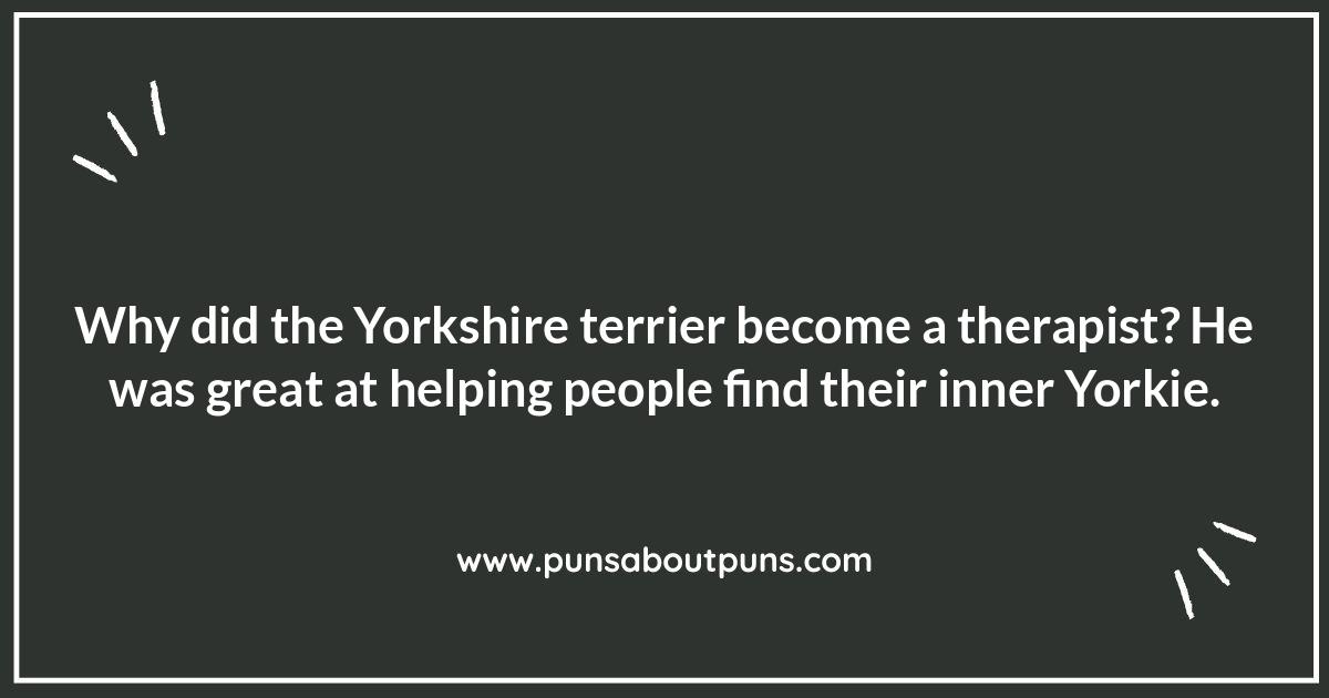 Yorkshire Animal Jokes: Farmyard Funnies