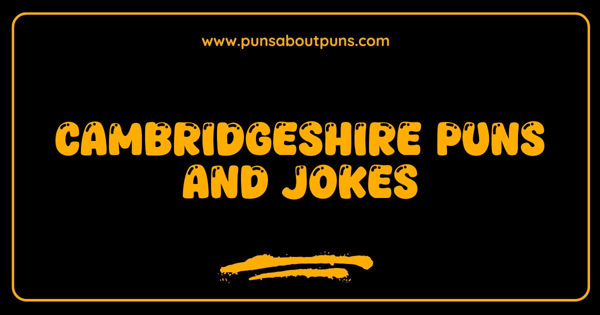 Best Cambridgeshire Puns and Jokes: The Funniest Cambridge-Related Humor Online