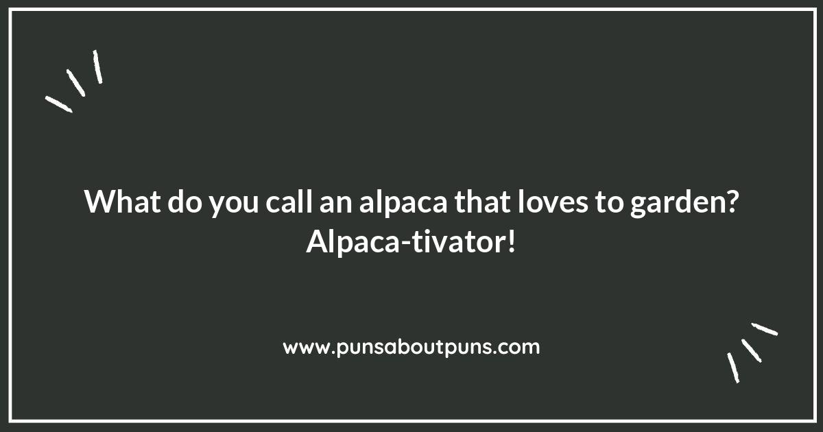 Alpaca Jokes for Kids: Clean and Fluffy Fun