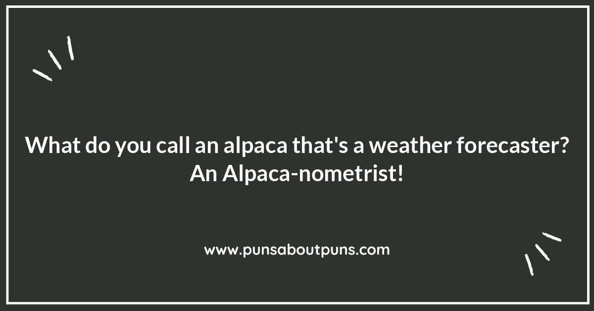 Alpaca Puns: How to Use Them in Everyday Conversation