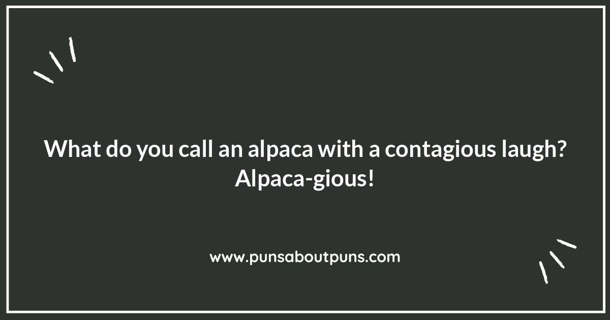 Alpaca Puns: The Ultimate List for Llama Lovers