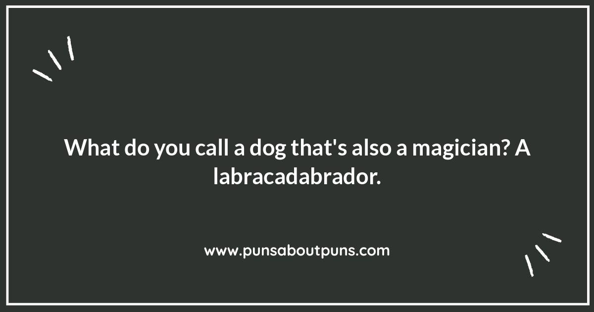 Animal Puns and Jokes: A Zoo-per Fun Time