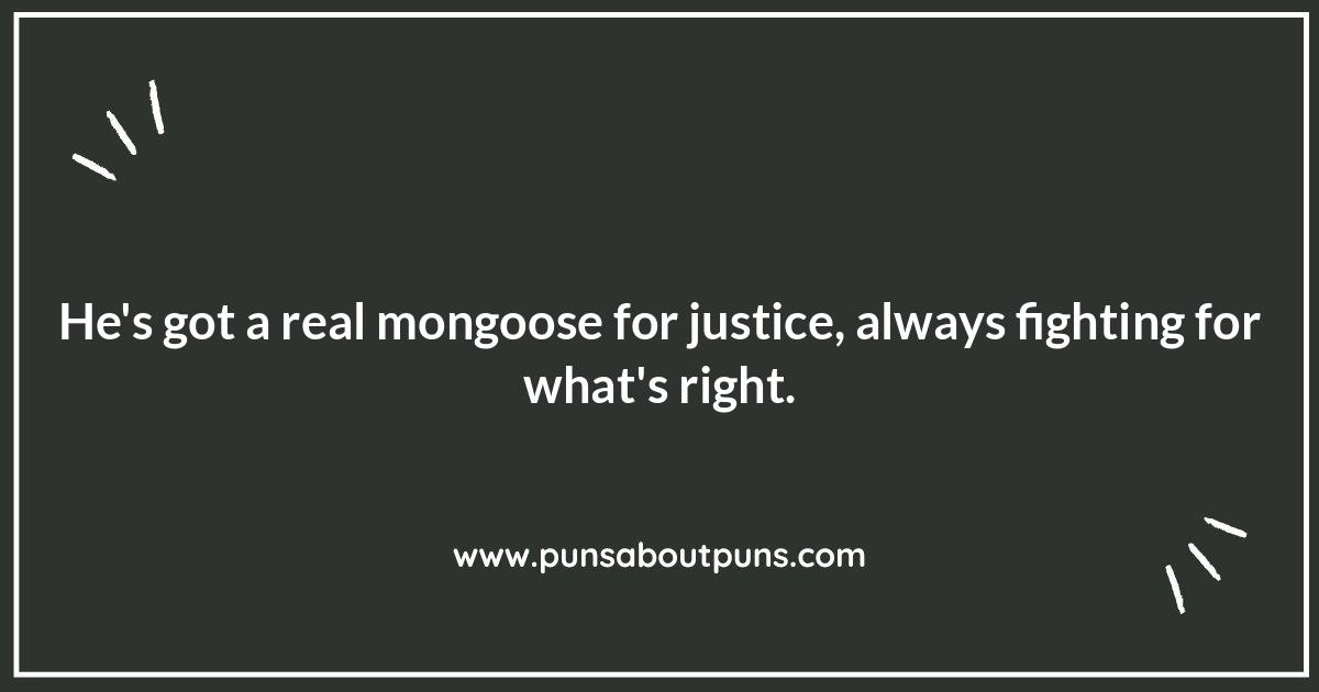 Mongoose Jokes: A Python