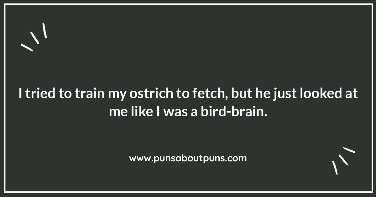 Ostrich Jokes: Exploring the Humor Behind These Big Birds