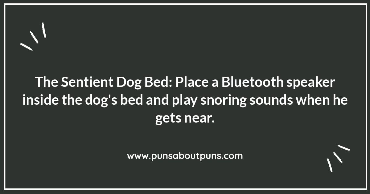 Pet-Related Pranks for Husband: Furry Fun