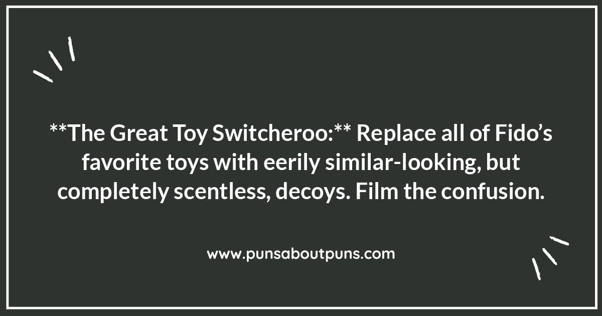 Pet Owner Prank Ideas: Toy Transformation Tricks