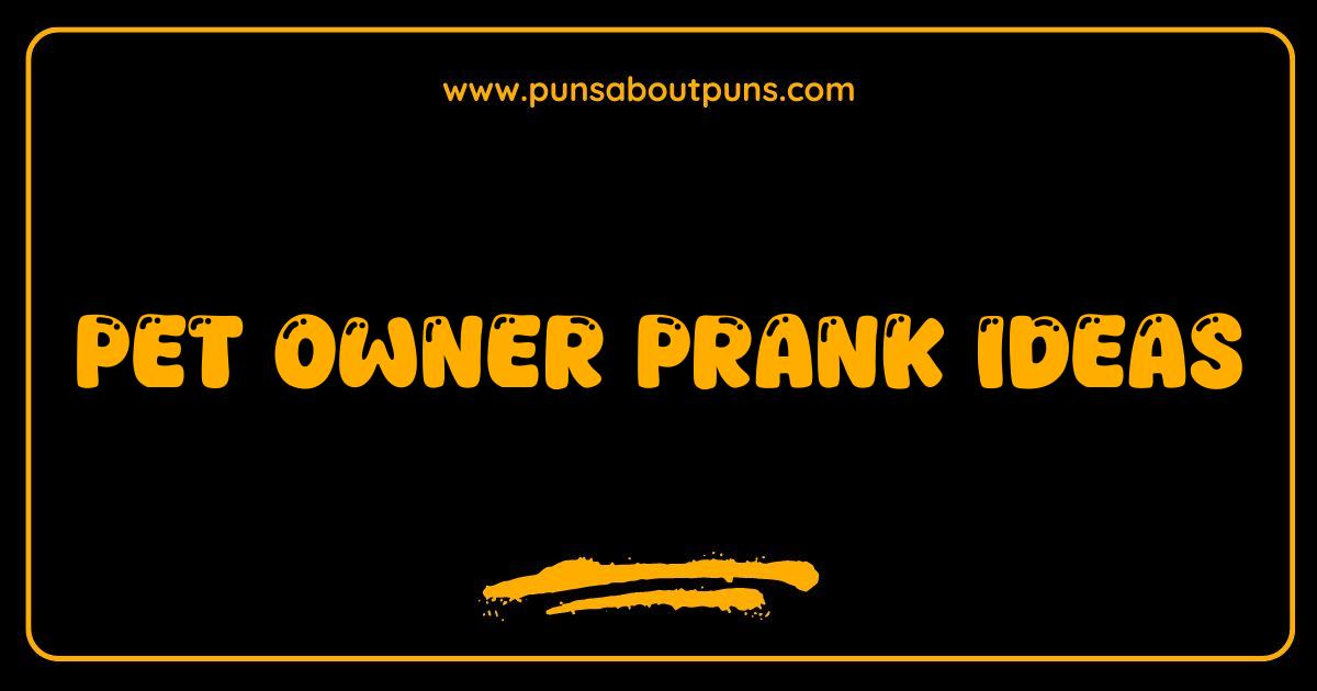Best Pet Owner Pranks Hilarious and Harmless Pranks to Play on Your Furry Friend
